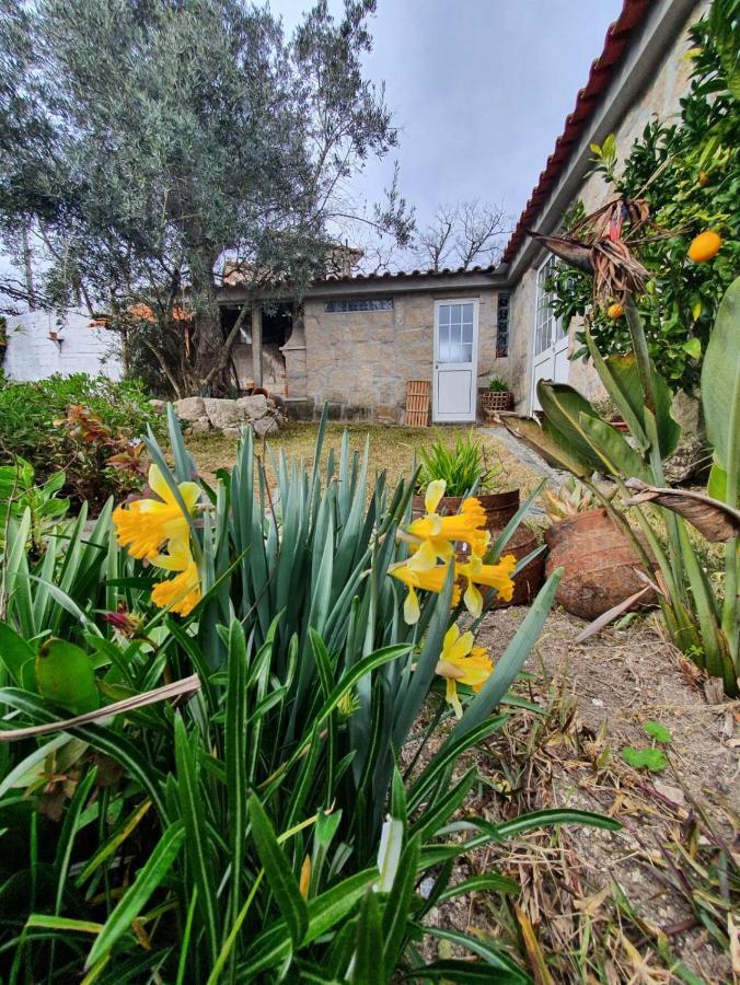 הוילה Baião Casa Da Poca מראה חיצוני תמונה